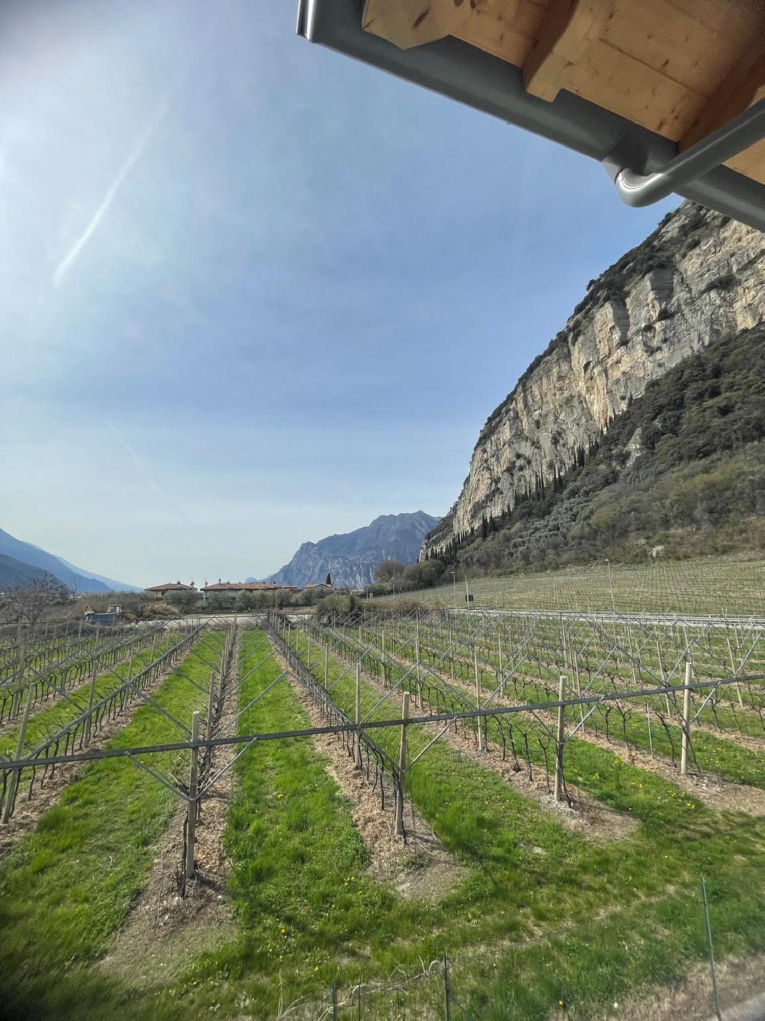 Lotus Garda Bed and Breakfast Riva del Garda Buitenkant foto